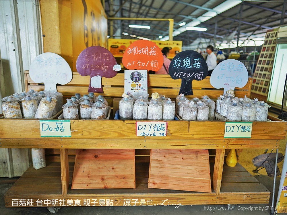 百菇莊 台中新社美食 親子景點