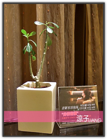 清新溫泉度假飯店14