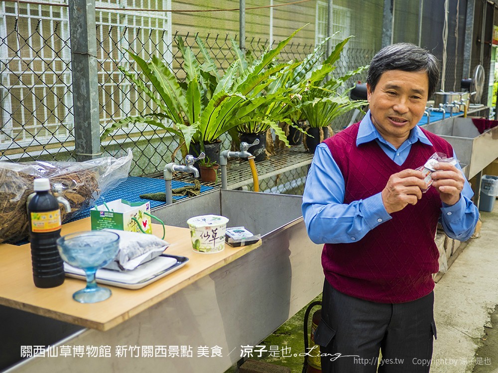 關西仙草博物館 新竹關西景點 美食