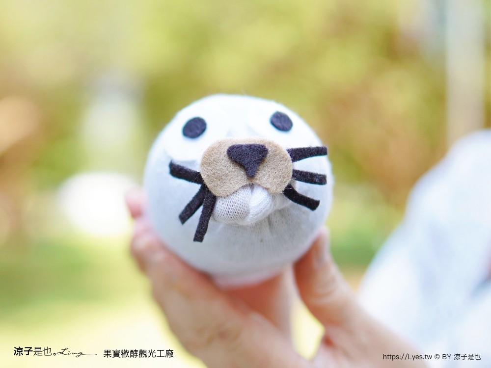 果寶歡酵觀光工廠 有機嘉寶果農場 門票 樹葡萄 南投埔里 親子景點 diy體驗 桃米休閒農業區