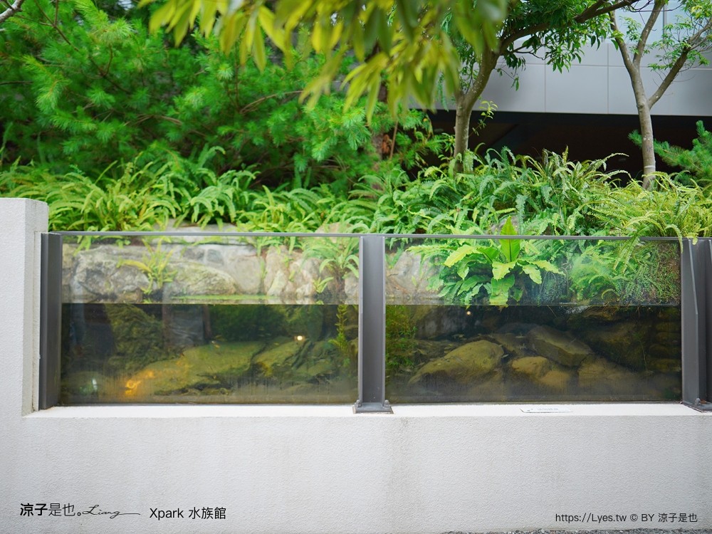 xpark水族館 門票優惠 桃園 親子景點 最新攻略 必看展區 美食餐廳 交通 停車 住宿