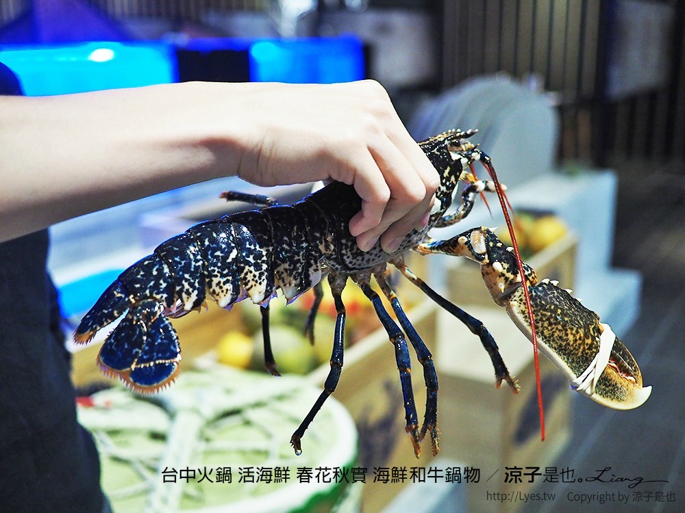 台中火鍋 活海鮮 春花秋實 海鮮和牛鍋物