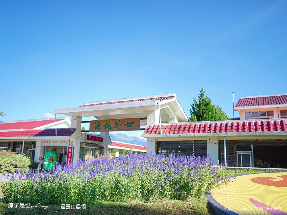 福壽山農場住宿 宋莊 四人套房 一泊二食 福壽山農場房型住宿推薦 早餐 晚餐