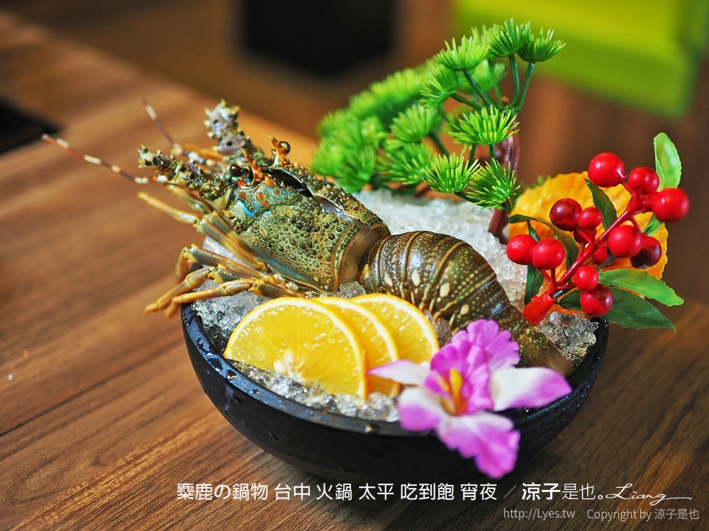 麋鹿の鍋物 台中 火鍋 太平 吃到飽 宵夜