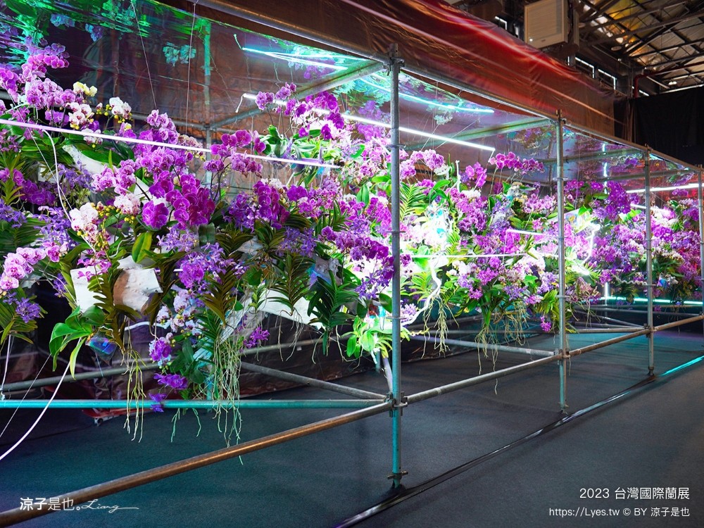 台灣國際蘭展 門票 2023時間 台南景點 魔境 恐龍 親子diy 必看亮點 台南限定蘭花