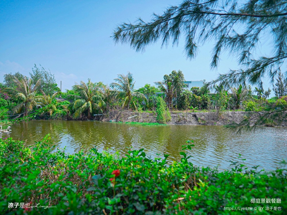 椰庭景觀餐廳 菜單 粉圓冰 蚵仔麵線 四草綠色隧道美食 魚塭改建 台南安南美食 台南景觀餐廳 台南景點