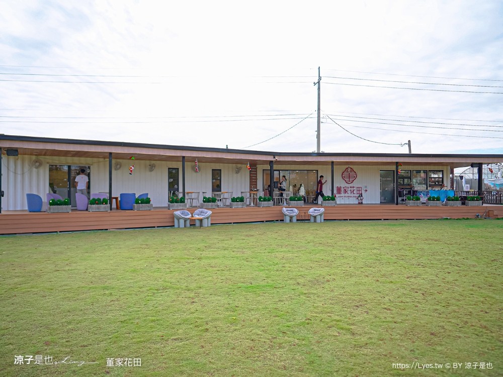 董家花田 菜單 門票 景點 彰化景點 田尾景觀餐廳 花海 戶外野餐 咖啡 交通