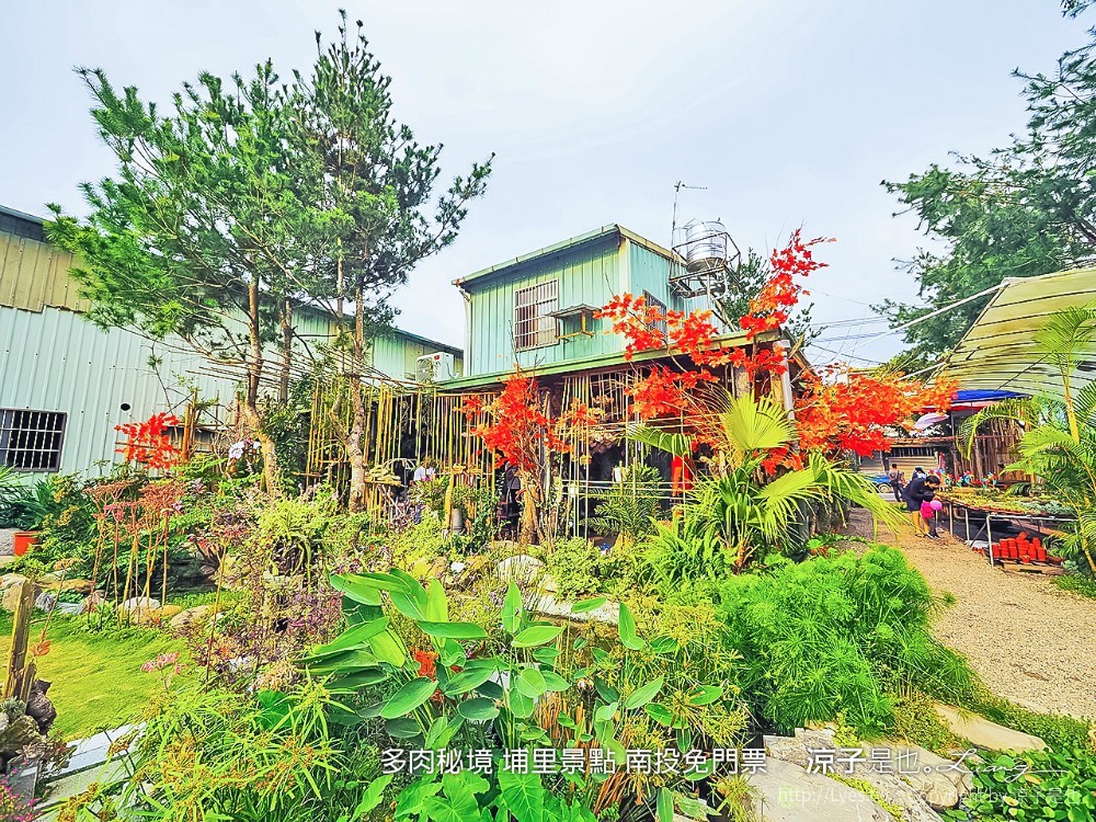 多肉秘境 埔里景點 南投免門票