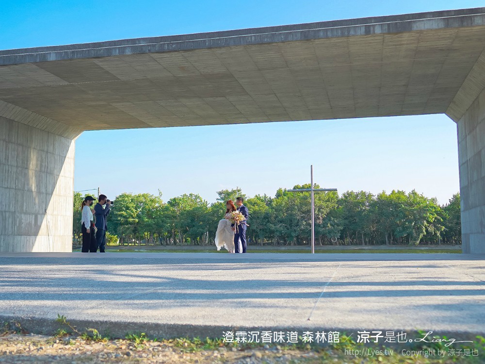 澄霖沉香味道森林館 雲林景點 愛心落羽松 湖畔步道 水之教堂 台版兼六園