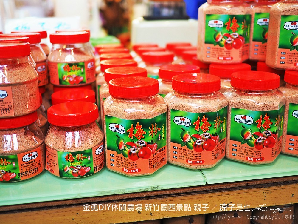 金勇DIY休閒農場 新竹關西景點 親子