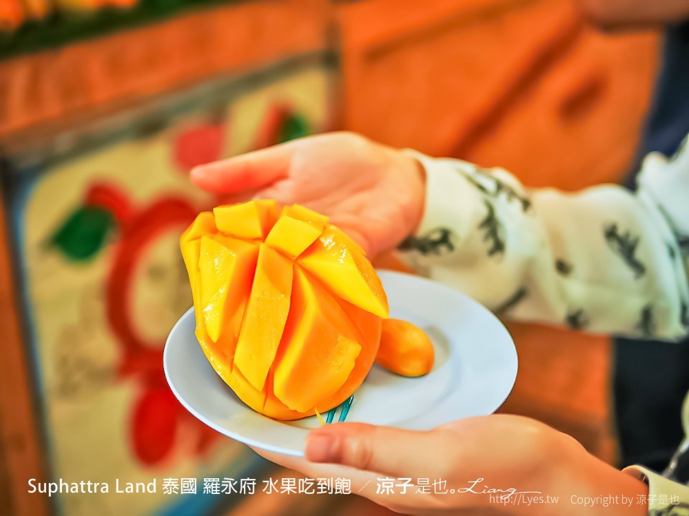 suphattra land 泰國 羅勇府 水果吃到飽