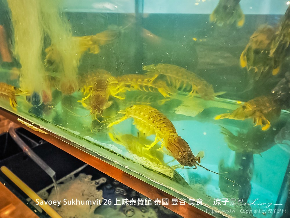 savoey sukhumvit 26 上味泰餐館 泰國 曼谷 美食