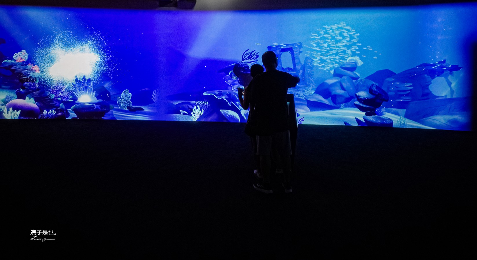 台中海洋館 門票優惠 交通 八大展區 免費票 台中親子景點 台中景點推薦 懶人包 攻略 必看特色