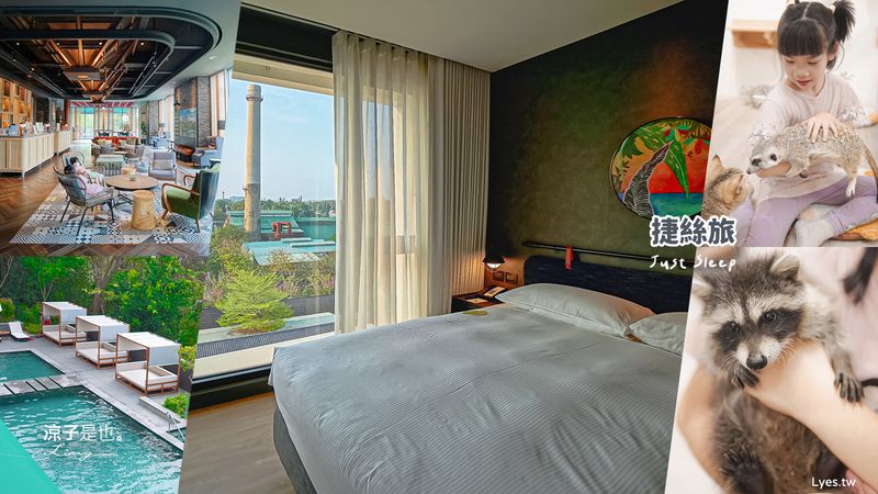 【台南】捷絲旅台南虎山館 × 財閥家的公子貓 最萌親子住宿推薦~擼貓假期 浣熊、狐獴、袋鼠陪你玩！