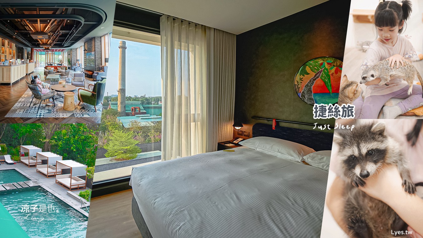 捷絲旅台南虎山館 台南捷絲旅 捷絲旅 台南住宿 台南親子住宿 台南飯店 泳池飯店 台南泳池飯店 十鼓文化村住宿 財閥家的公子貓 台南擼貓咖啡廳