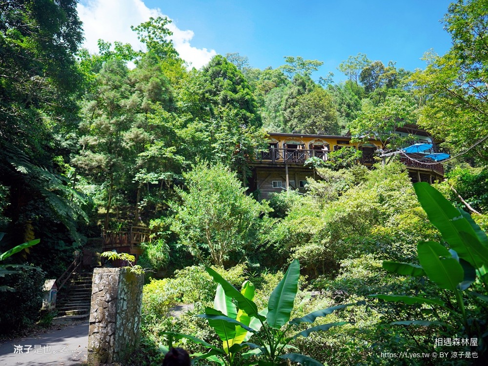 相遇森林屋 菜單 苗栗南庄景點 苗栗景觀餐廳 苗栗景點 森林系 南庄咖啡館 童話屋秘境 苗栗景點 森林系 南庄咖啡館 童話屋秘境