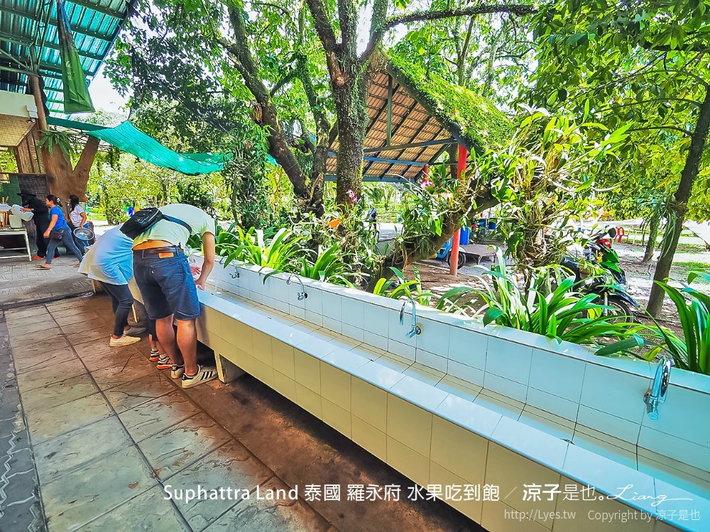 suphattra land 泰國 羅勇府 水果吃到飽