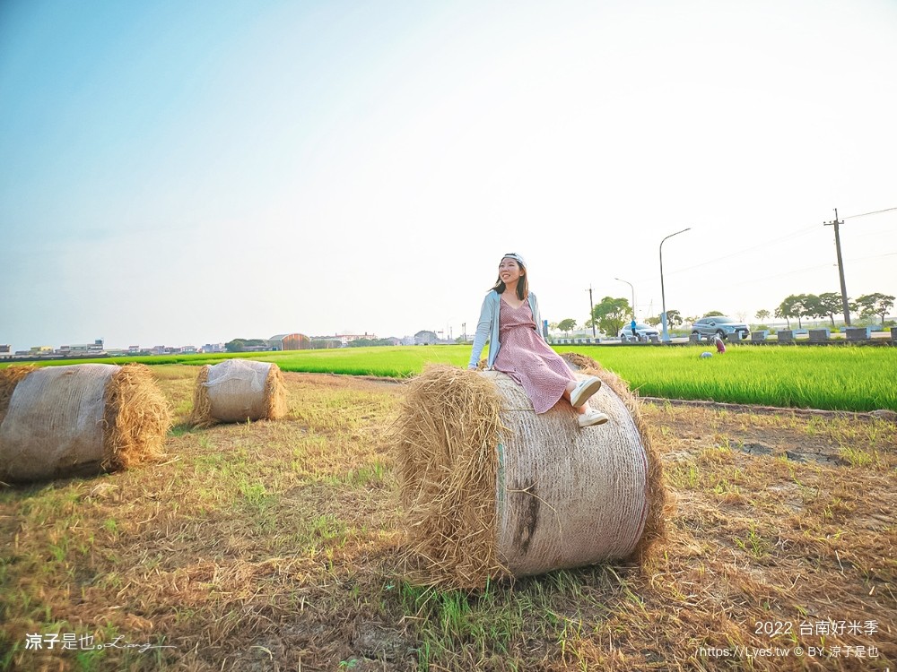 2022台南好米季 台南後壁景點 稻田彩繪 貓貓蟲咖波 稻陣走健走活動 網美打卡 親子景點