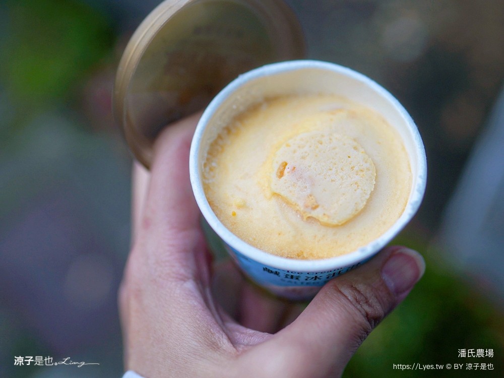 潘氏農場 屏東車城 親子景點 紅仁鴨蛋 鹹鴨蛋DFIY 屏東景點推薦 車城鹹鴨蛋老店推薦