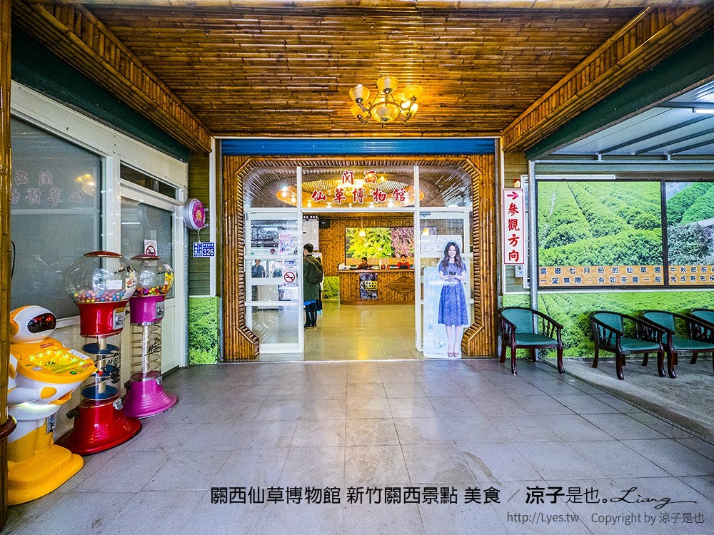 關西仙草博物館 新竹關西景點 美食