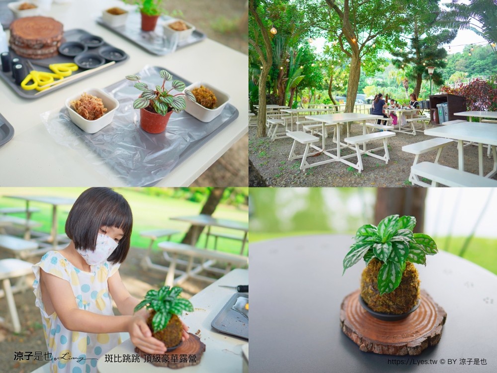 斑比跳跳 苗栗住宿 三灣棕櫚灣 頂級豪華 苗栗親子景點 露營車房型 價位優惠 評價