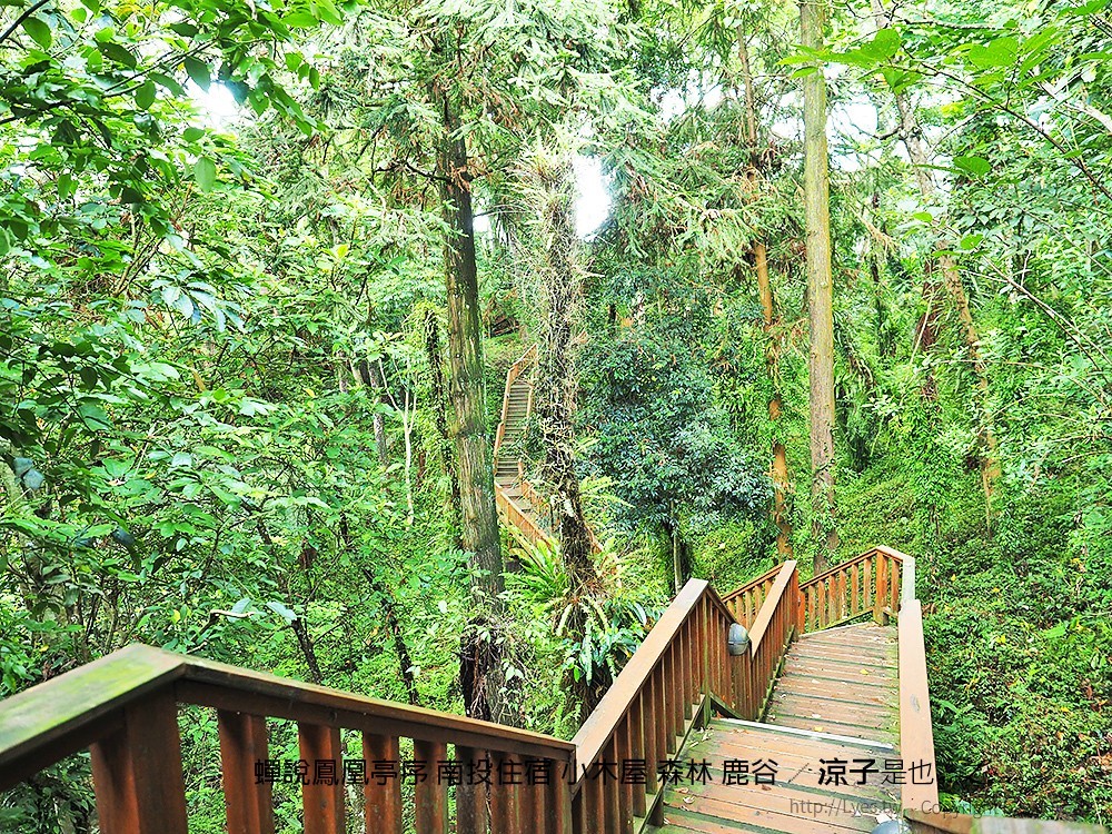 蟬說鳳凰亭序 南投住宿 小木屋 森林 鹿谷
