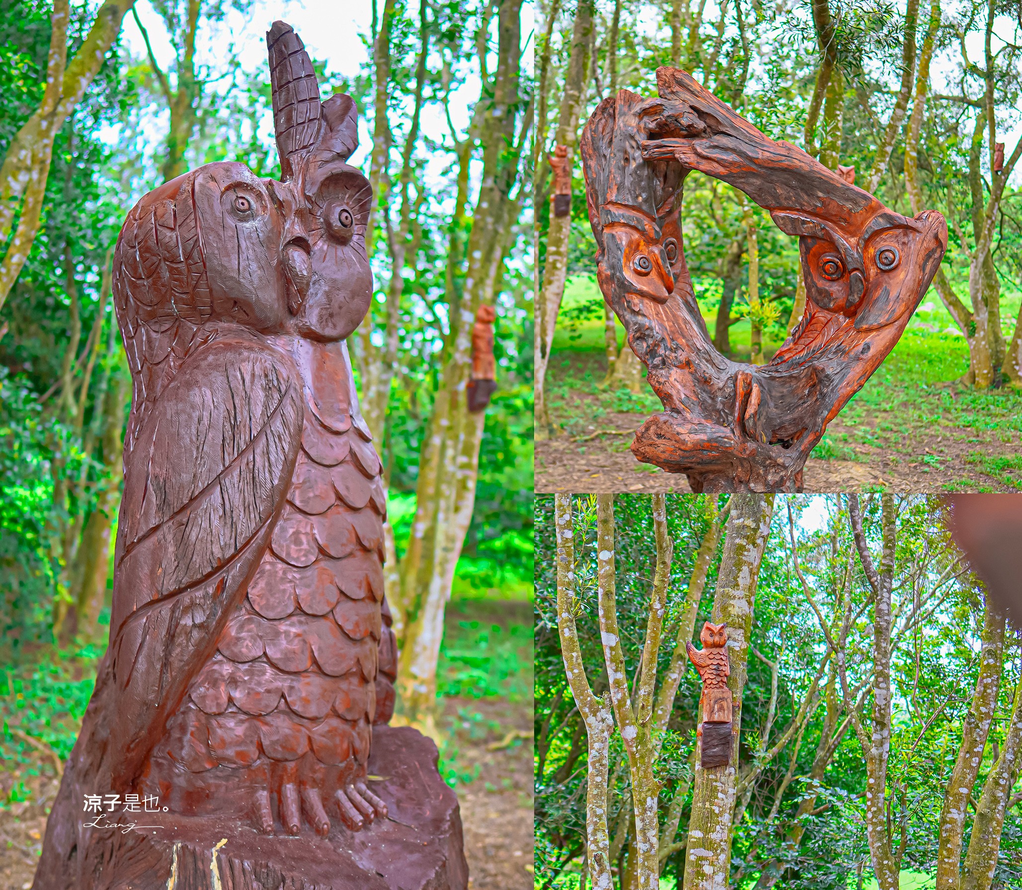 2023浪漫台三線藝術季 台中東勢 一日遊 東勢景點 接駁車 預約 開幕 Falabidbog花啦嗶啵 東勢旅遊 美食 台北 桃園 新竹 苗栗