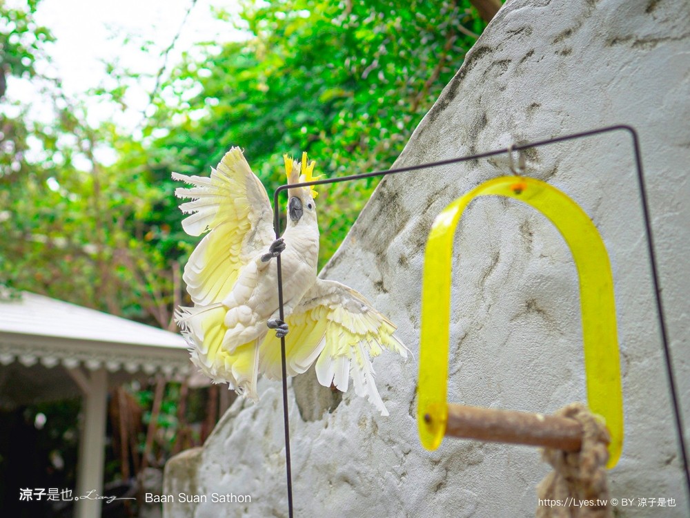 Baan Suan Sathon 泰國曼谷 森林系餐廳 推薦 泰式料理 網美風 交通 下午茶