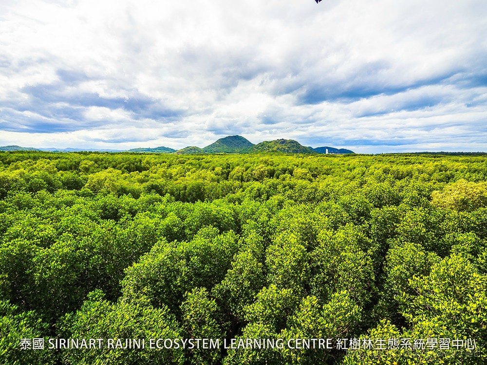 泰國 SIRINART RAJINI ECOSYSTEM LEARNING CENTRE 紅樹林生態系統學習中心