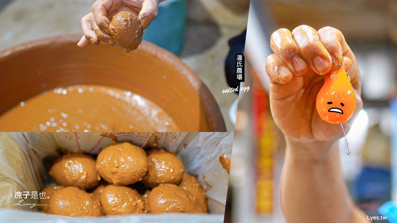 潘氏農場 屏東車城 親子景點 紅仁鴨蛋 鹹鴨蛋DFIY 屏東景點推薦 車城鹹鴨蛋老店推薦