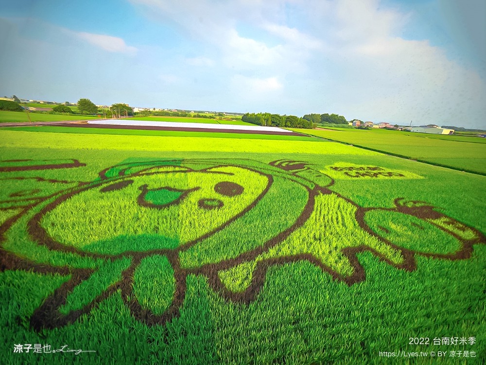 2022台南好米季 台南後壁景點 稻田彩繪 貓貓蟲咖波 稻陣走健走活動 網美打卡 親子景點