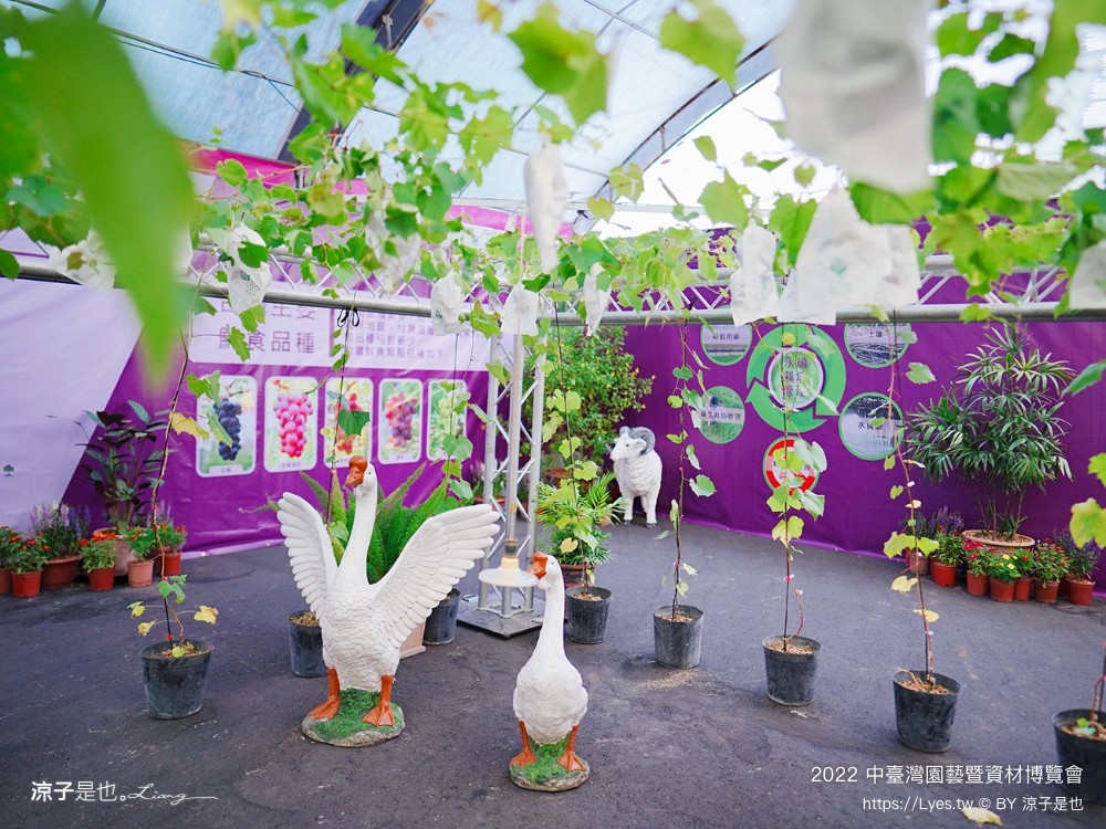 2022中臺灣 氣墊遊戲區 溜滑梯戲水池 農產品展售 美食小吃