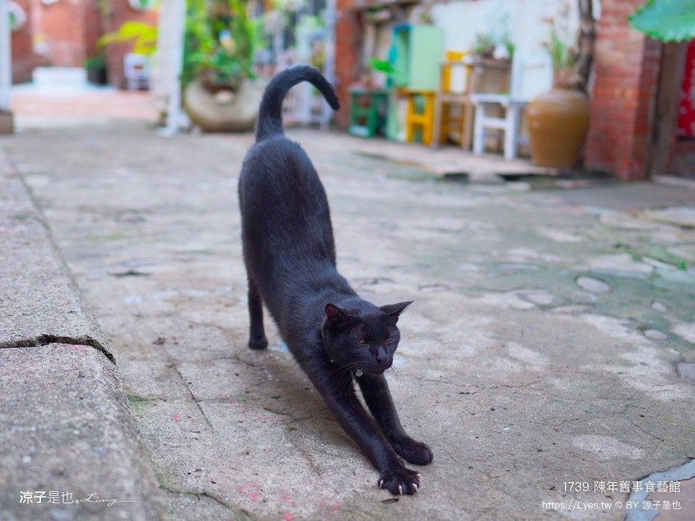 1739陳年舊事食藝館 苗栗景點 頭份親子景點 蘆竹湳古厝 古早童玩 鬼屋 遊樂園