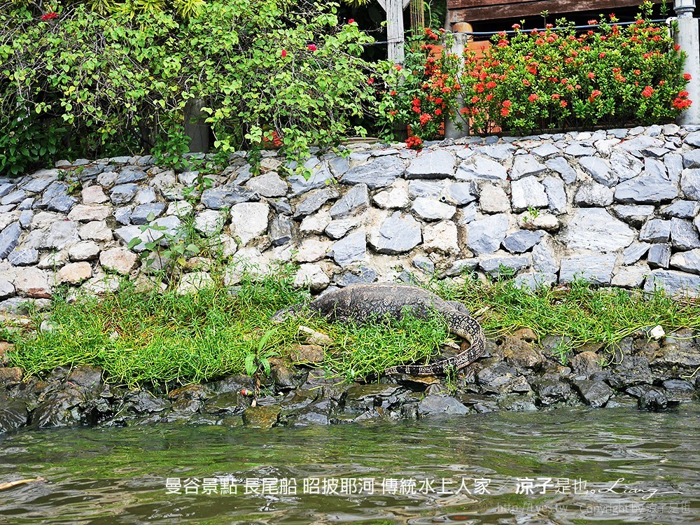 曼谷景點 長尾船 昭披耶河 傳統水上人家