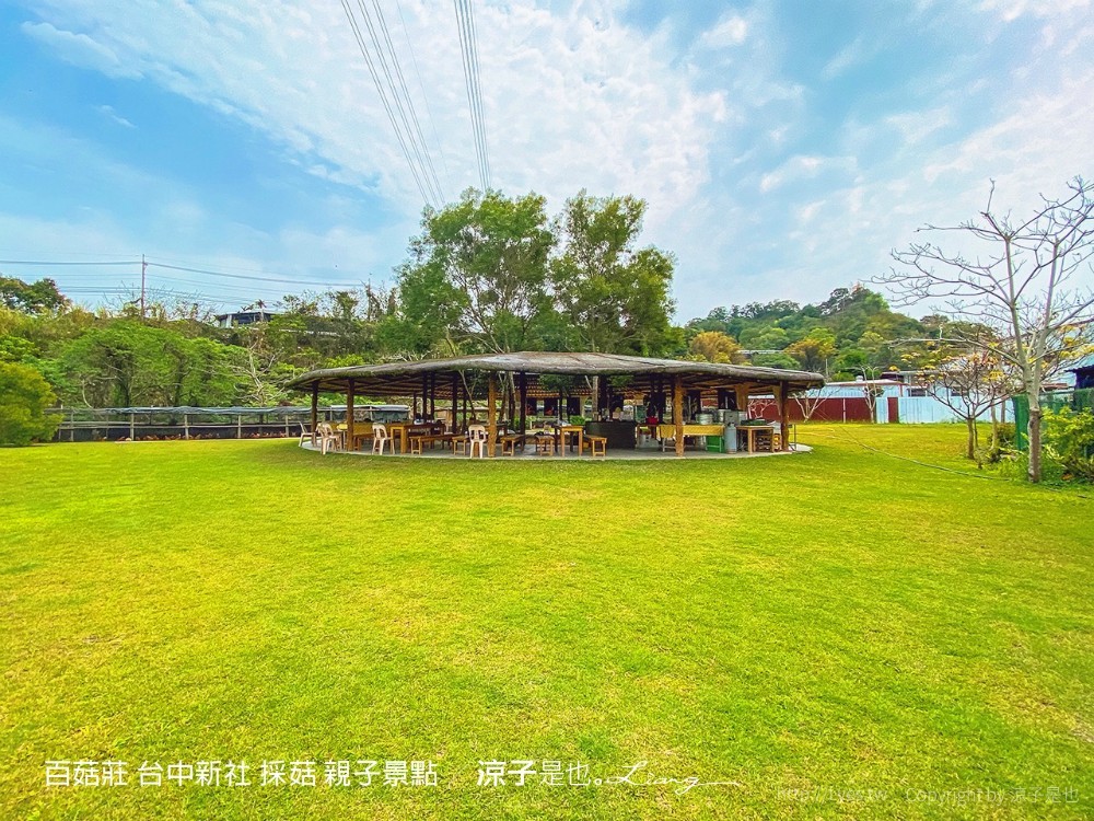 百菇莊 台中新社 採菇 親子景點