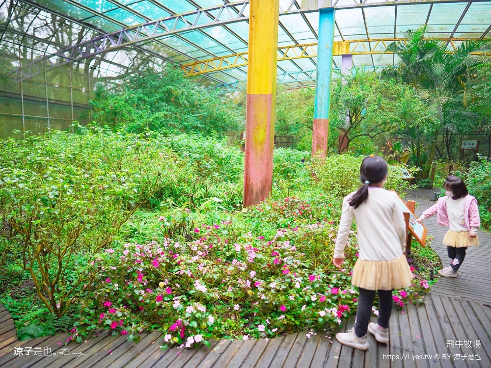 苗栗 飛牛牧場住宿 房型 早餐 四人房 2天1夜 園區門票 票價 苗栗親子飯店推薦
