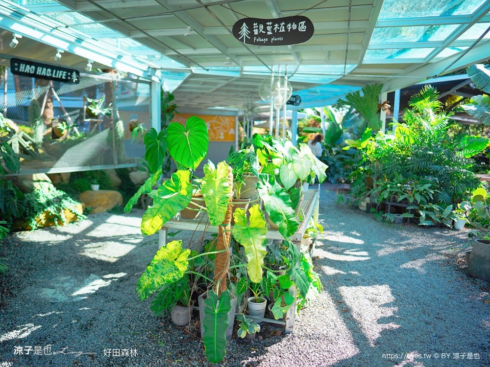 好田森林 菜單 門票 彰化田尾 親子餐廳 親子樂園 恐龍森林 滑草 野餐 玩沙 卡丁車 彰化景點 空中卡丁車