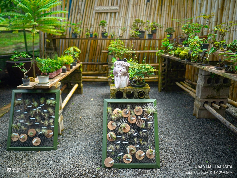 Baan Bai Tea Café 攀牙 咖啡館 推薦 普吉島美食 泰國茶飲 攀牙甜點 下午茶 普吉島一日遊