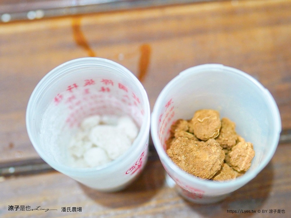 潘氏農場 屏東車城 親子景點 紅仁鴨蛋 鹹鴨蛋DFIY 屏東景點推薦 車城鹹鴨蛋老店推薦