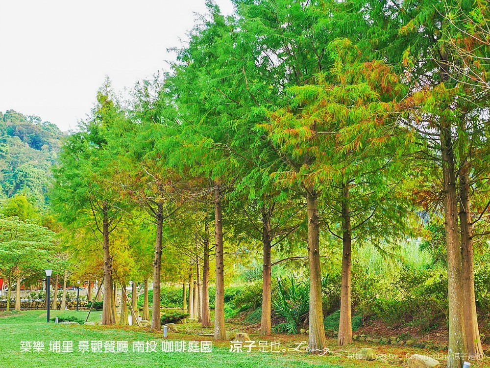 築樂 埔里 景觀餐廳 南投 咖啡庭園