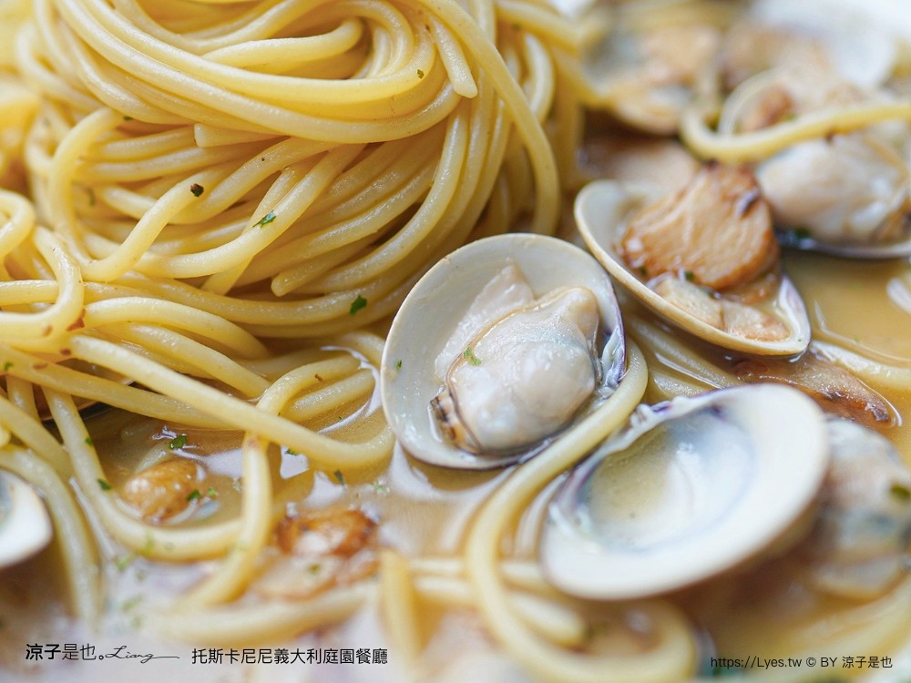 托斯卡尼尼 義大利庭園餐廳 菜單 台中北屯 大坑 新開幕義式餐廳 訂位 披薩 壽星