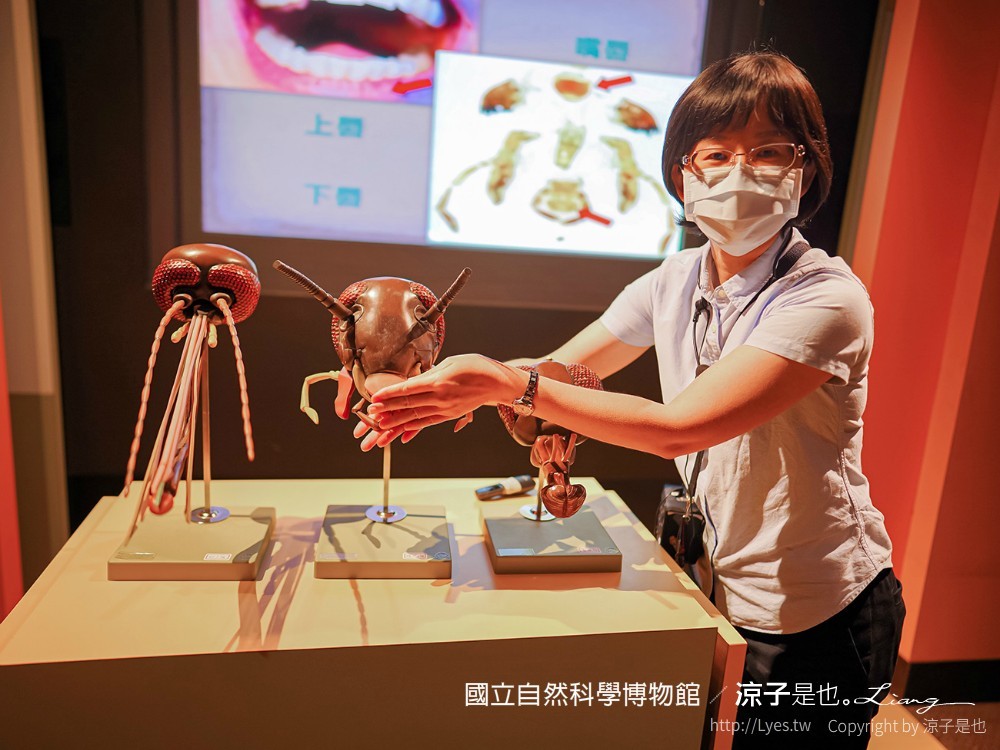 台中科博館 台中室內親子景點 國立自然科學博物館 線上購票 交通 美食 恐龍侏儸紀公園 iCoBo 手機app i科博