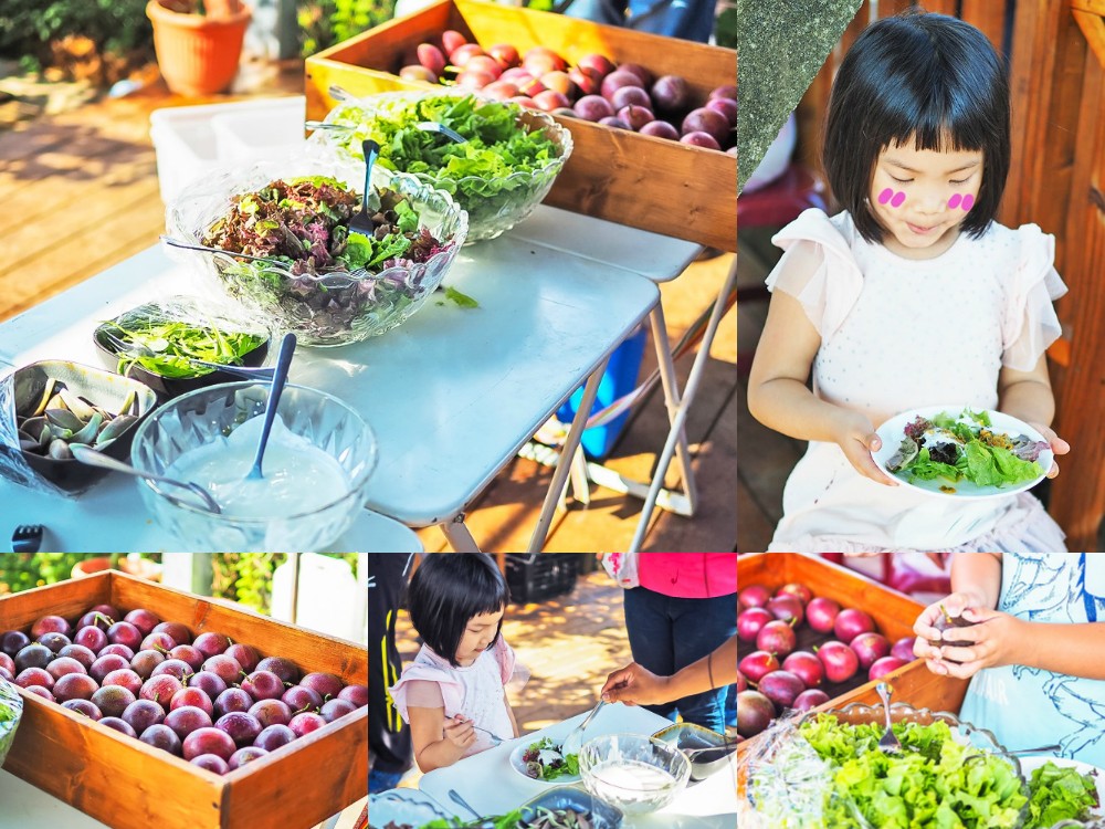 埔里景點-果寶歡酵觀光農場 親子採嘉寶果x樹葡萄果醬DIYx品嚐百香果沙拉 桃米生態村親子體驗好好玩