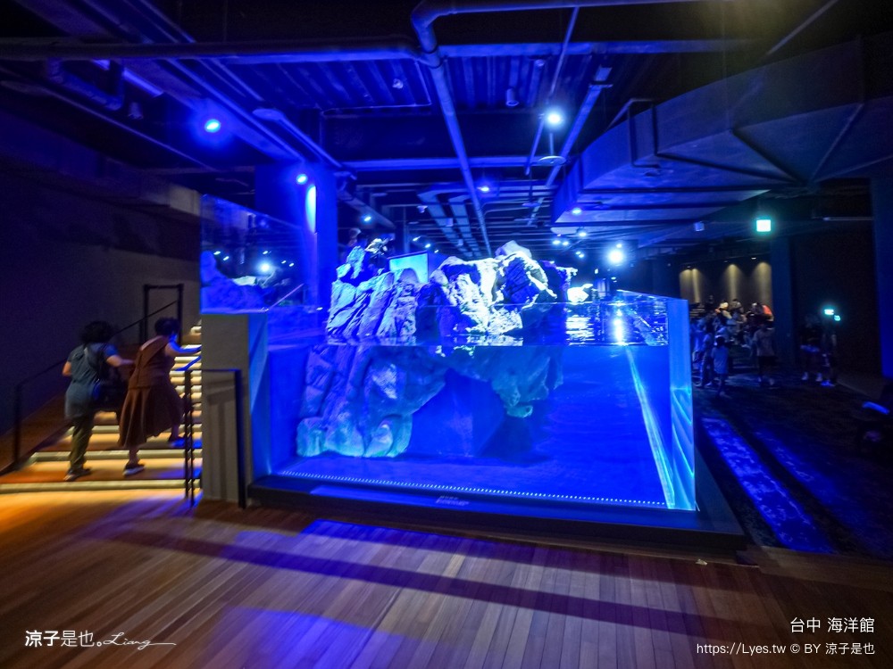 台中海洋館 門票優惠 交通 八大展區 免費票 台中親子景點 台中景點推薦 懶人包 攻略 必看特色