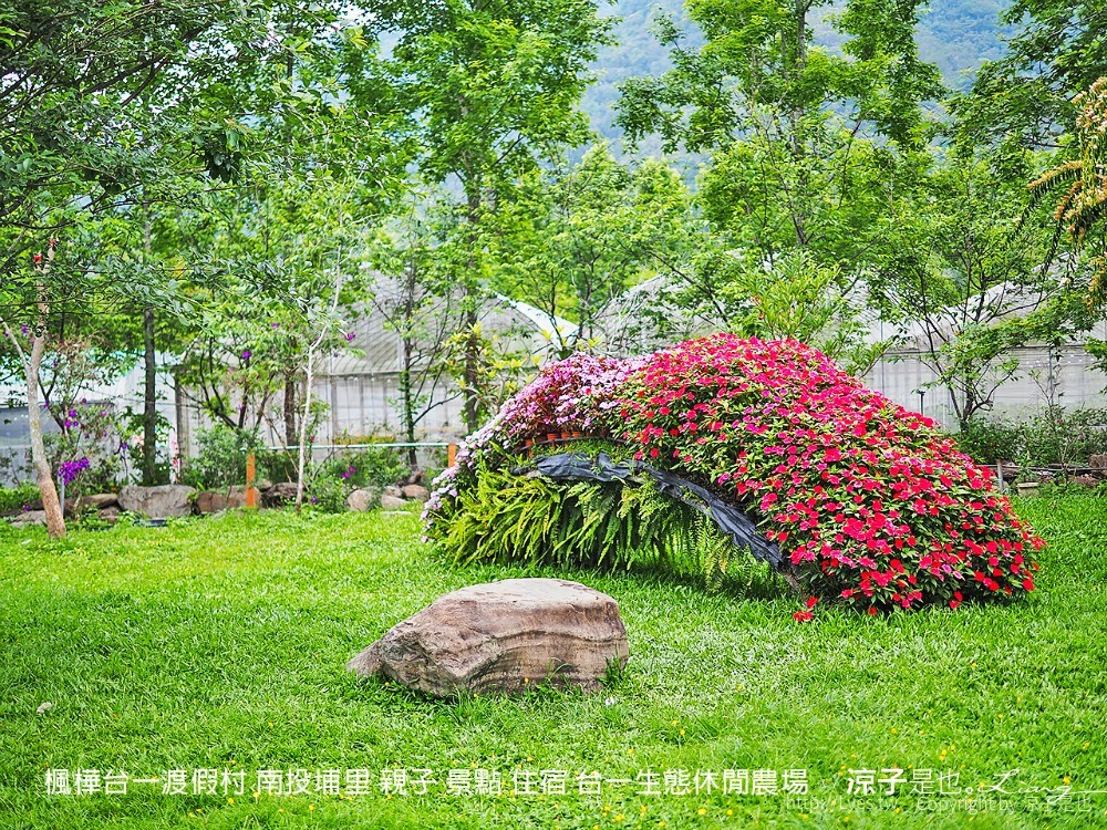 楓樺台一渡假村 南投埔里 親子 景點 住宿 台一生態休閒農場