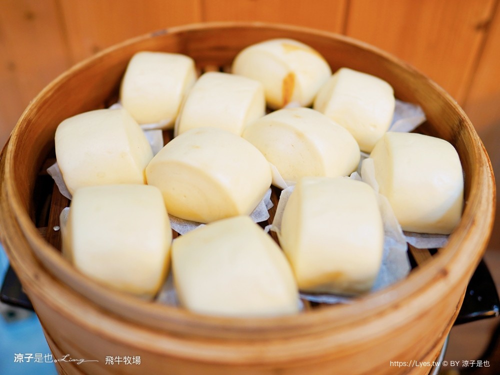 苗栗 飛牛牧場住宿 房型 早餐 四人房 2天1夜 園區門票 票價 苗栗親子飯店推薦