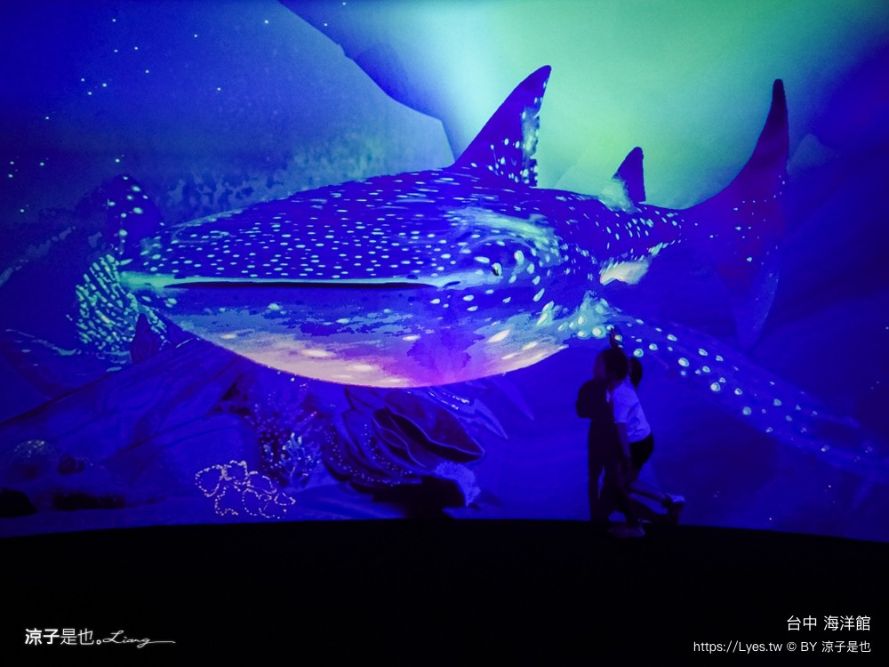 台中海洋館 門票優惠 交通 八大展區 免費票 台中親子景點 台中景點推薦 懶人包 攻略 必看特色