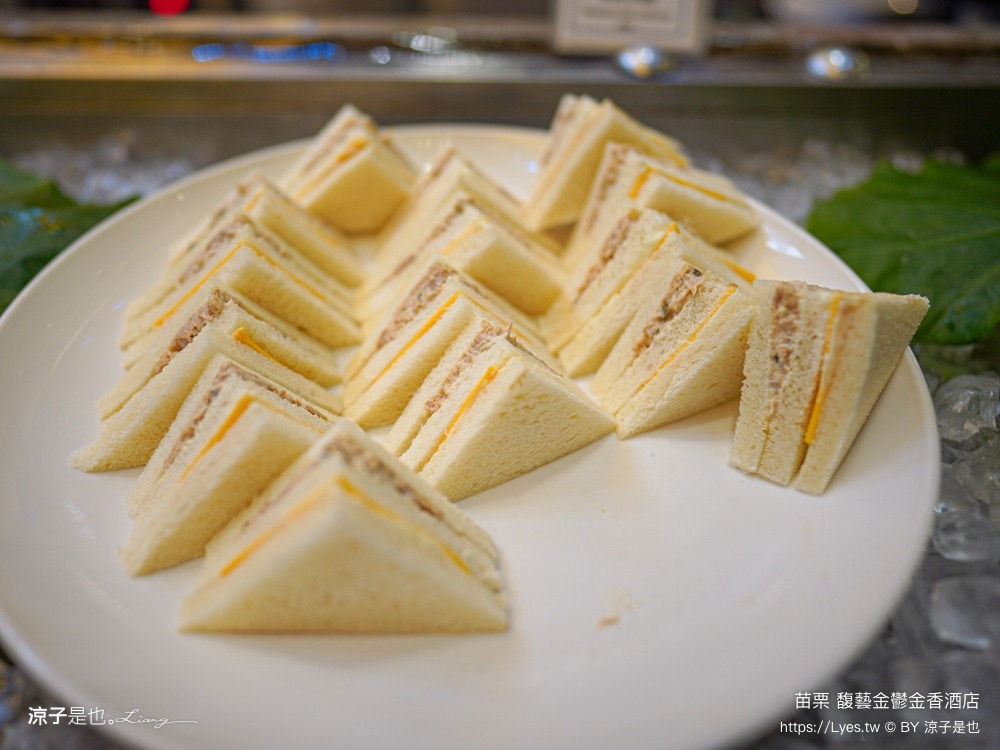 馥藝金鬱金香酒店 苗栗住宿推薦 苗栗親子飯店 早餐 兒童遊戲室 苗栗旅遊 房型介紹