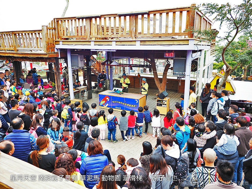 星月天空 南投親子景點 草泥馬 動物園 溜滑梯