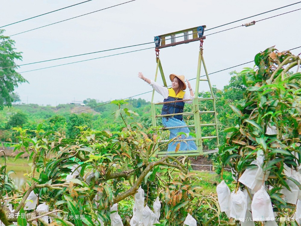 星光 親子景點 免費採果活動 台南農場 台南露營 diy 採芒果體驗 自然的鬥士